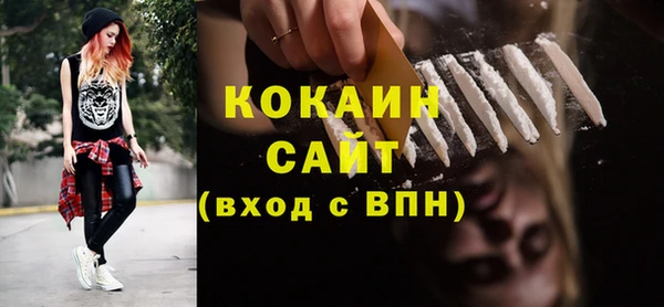 молекула духа Протвино