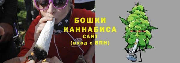 молекула духа Протвино
