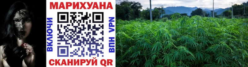Марихуана THC 21%  Купить закладки  Черногорск 